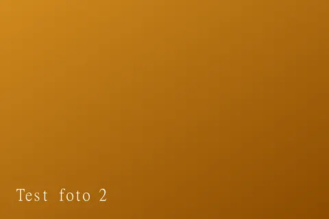 Foto 2 nga 2 — Hotel Dardania (Demo)